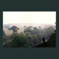 A Foggy English Field posters