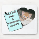 A Forever Home... Mousepad