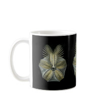 A Fossil Sea Urchin Mug