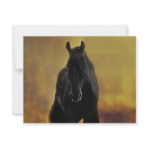 A friend invitations