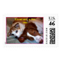 A friend loves...at ALL times postage