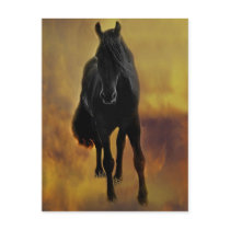 A friend postcards
