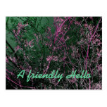 A friendly Hello postcard in purple and green