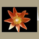 A Friends Garde Greeting Cards cards
