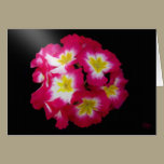 A Friends Garden Greeting Cards cards