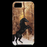 A friesian in winter snow casemate cases