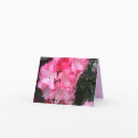 A Gala Rhododendron Explosion cards by gramabarb A Gala Rhododendron Explosion cards