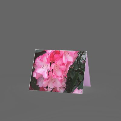 A Gala Rhododendron Explosion Cards by gramabarb