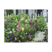 A Garden Grows postcards