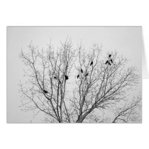 A Gathering cards