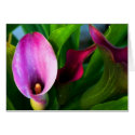 A Gentle Flower Card by JudiTaylor A Gentle Flower Card