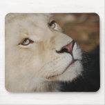 A gentle lion mouse pads