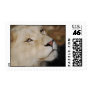 A gentle lion postage stamp
