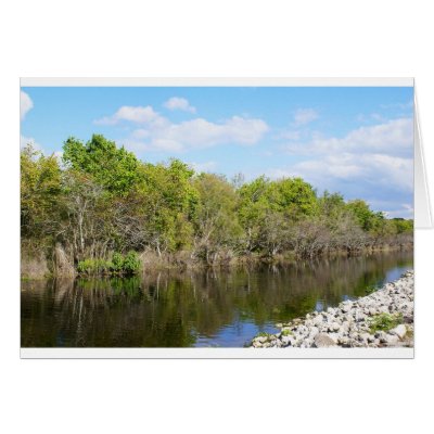 A Gentle    Stream Greeting Cards by Debrene
