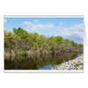 A Gentle    Stream cards