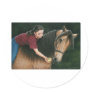 A Gift for Sunny Morgan Horse Art Stickers