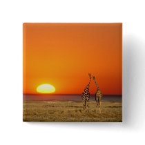 A Giraffe couple walks into the sunset, in Pinback Buttons