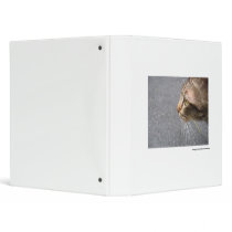 A Glimpse binders by crazygirlclub A Glimpse binders