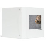 A Glimpse binders