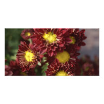 A glimpse of nature personalized photo card