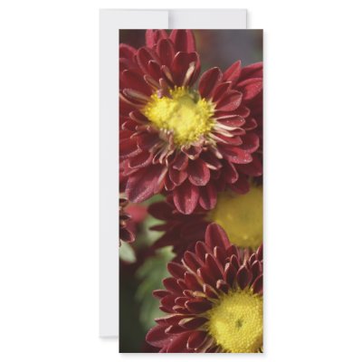 A glimpse of nature custom rack cards by Ecolicious