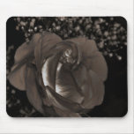 A Glowing Rose at Night Mouse Pad