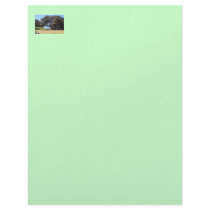 A God of Peace (1 Corinthians 14:33) Letterhead