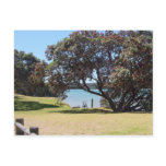 A God of Peace (1 Corinthians 14:33) Post Cards