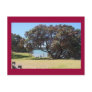 A God of Peace (1 Corinthians 14:33) Post Cards