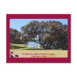A God of Peace (1 Corinthians 14:33) Postcard