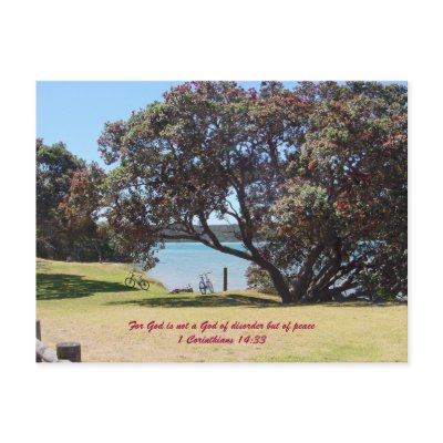 A God of Peace Post Card from Zazzle. A God of Peace Post Card from Zazzle.