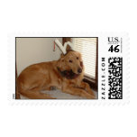 A Golden Christmas postage