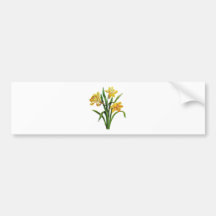 A Golden Host of Embroidered Daffodils Bumper Stickers