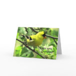 A Goldfinch for Grandma on Mother's Day Cards