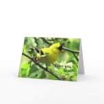 A Goldfinch for Mom on Mother's Day Greeting Card