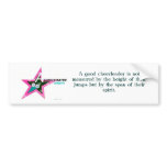 A good cheerleader is not measured by... bumper stickers