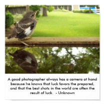 A good photographer posters by bardon08 A good photographer posters