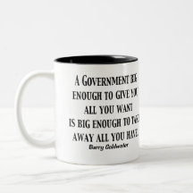 A Government Big Enough Mug