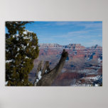 A Grand Canyon Throne 2938 Print