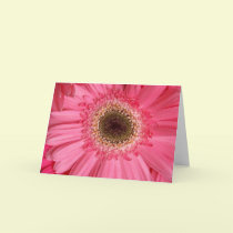 A Grand Thank You! cards