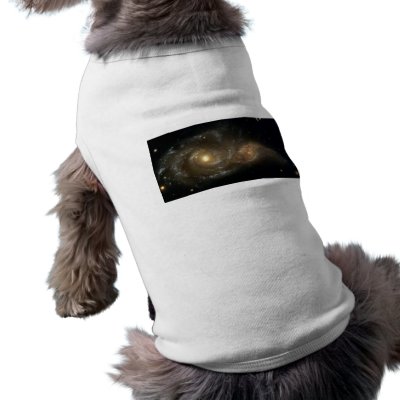 A Grazing Encounter Between Two Spiral Galaxies Dog Clothes by SupersonicMonkey