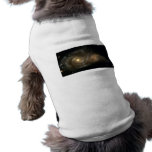 A Grazing Encounter Between Two Spiral Galaxies Dog Clothes