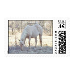 A Grazing Palomino Stamps
