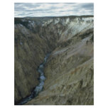 A Great Crevice flyers