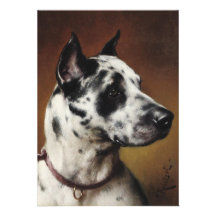 A Great Dane Invitation