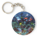 A Great Diversity of Fish at Pearl & Hermes Atoll Key Chains