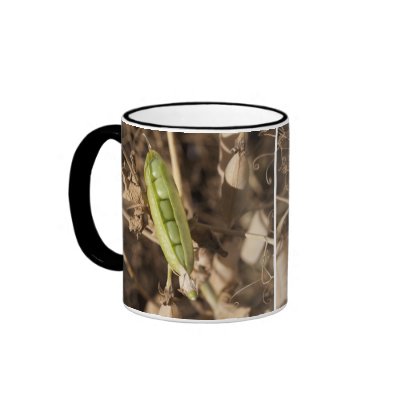 A Green Pea Pod On A Dried Pea Pod Plant Coffee Mug by designpics