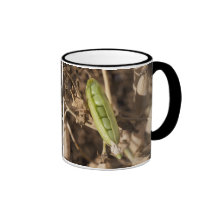 A Green Pea Pod On A Dried Pea Pod Plant Coffee Mug