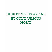 A Green Theme in Latin t-shirts