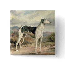 A Greyhound in a hilly landscape Button